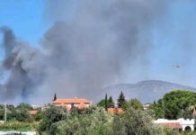 Πυρκαγιά στον Μαραθώνα: Μήνυμα του 112 σε όσους βρίσκονται σε Παλιούρι και Ριζάρη