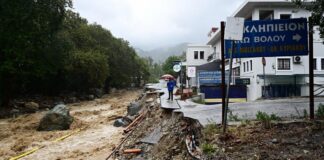 Θεσσαλία: 5.000 οριστικές αιτήσεις για κρατική αρωγή – Τα μισά νεκρά ζώα έχουν συλλεχθεί