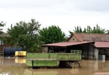 110 εκατ. ευρώ σε Θεσσαλούς γεωργούς για αποζημιώσεις φυτικής παραγωγής