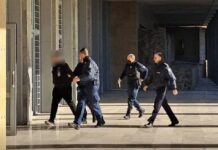 Στη φυλακή ο 37χρονος ιδιοκτήτης των σκύλων για τη θανατηφόρα επίθεση στην 50χρονη