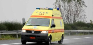 Ρόδος: Θανατηφόρο τροχαίο προκάλεσε γάιδαρος που μπήκε στο οδικό δίκτυο