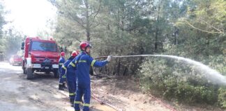 Κακουργηματική δίωξη στον 25χρονο για τη φωτιά στο Σέιχ Σου: Τι κατέθεσε στην Πυροσβεστική