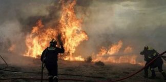 Πολύ υψηλός κίνδυνος πυρκαγιάς για σήμερα σε Αττική, Πελοπόννησο και Στερεά