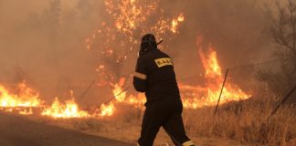 Πολύ υψηλός κίνδυνος πυρκαγιάς για αύριο σε 5 Περιφέρειες της χώρας