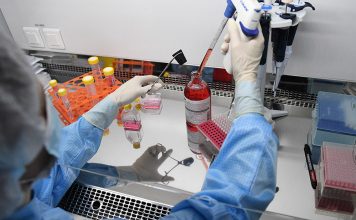 Σουηδία: Οι αρχές επιβεβαίωσαν το πρώτο κρούσμα της «ευλογιάς των πιθήκων»