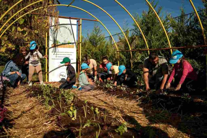 ΔΕΗ Carbon Farming Schools 1