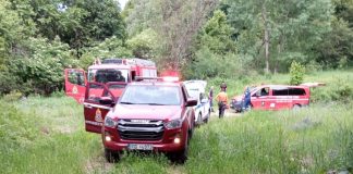Δράμα: Χωρίς τις αισθήσεις του εντοπίστηκε ο πεζοπόρος που δέχθηκε επίθεση από αρκούδα