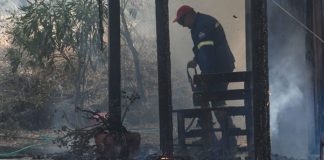 Άξονας πέντε δράσεων για την αποκατάσταση των πληγέντων από τις πυρκαγιές