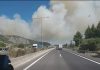 Σε ύφεση η μεγάλη πυρκαγιά στο Ακραίφνιο Βοιωτίας: Συνεχίζεται η μάχη με τις φλόγες