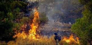 «Κόκκινος συναγερμός»: Ακραίος κίνδυνος πυρκαγιάς σε Αττική και Εύβοια