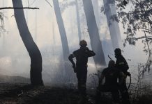 Ολονύχτια «μάχη» με τις φλόγες στη Λητή Θεσσαλονίκης: Χωρίς ενεργό μέτωπο η φωτιά