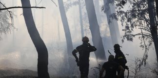 Ολονύχτια «μάχη» με τις φλόγες στη Λητή Θεσσαλονίκης: Χωρίς ενεργό μέτωπο η φωτιά