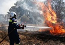 Μεγάλη πυρκαγιά στην Ρόδο: Άντιμετωπίστηκαν άμεσα φωτιές σε Θήβα και Χαλκίδα