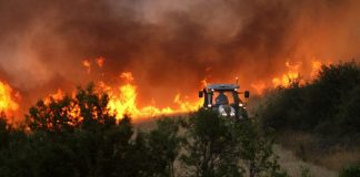 Τραγωδία στην Ισπανία: Δώδεκα νεκροί από δασική πυρκαγιά στην Ανδαλουσία