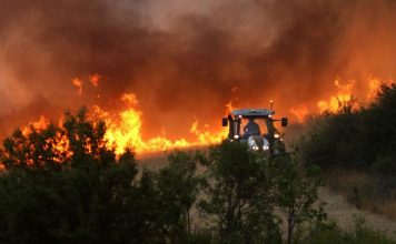 Τραγωδία στην Ισπανία: Δώδεκα νεκροί από δασική πυρκαγιά στην Ανδαλουσία