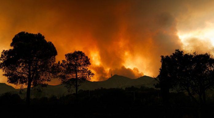 Πύρινος εφιάλτης σε Ισπανία και Γαλλία: Μαίνεται η πυρκαγιά στο Μπορντό