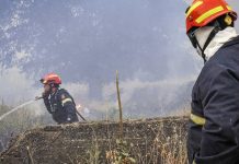 Μάχη με τις φλόγες σε Άγιο Βασίλειο Ρεθύμνου, Σητεία Κρήτης, Πλωμάρι Λέσβου