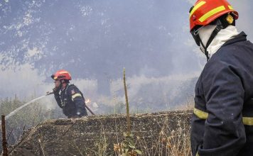 Μάχη με τις φλόγες σε Άγιο Βασίλειο Ρεθύμνου, Σητεία Κρήτης, Πλωμάρι Λέσβου