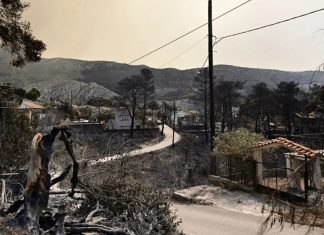 Πυρκαγιά στη Δυτική Αττική: Με ταχείς ρυθμούς οι διαδικασίες αποκατάστασης