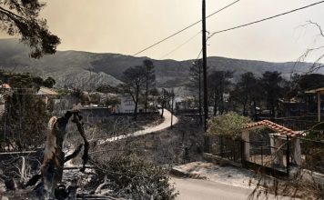 Πυρκαγιά στη Δυτική Αττική: Με ταχείς ρυθμούς οι διαδικασίες αποκατάστασης