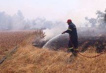 Πυρκαγιά στη Δυτική Αττική: Καλύτερη εικόνα – Σε επιφυλακή για αναζωπυρώσεις