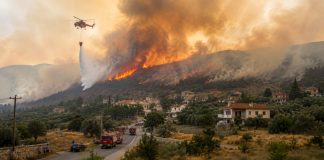 Από αγροτικές εργασίες η μεγάλη πυρκαγιά στην Αργολίδα: Συνολικά 11 συλλήψεις σε όλη την χώρα