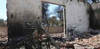 Ολοκληρώθηκαν 325 αυτοψίες στις πυρόπληκτες περιοχές: Δηλώσεις Κ. Κατσαφάδου