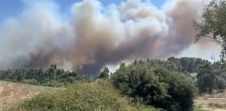 Μεγάλη φωτιά σε Σίβηρη και Φούρκα Χαλκιδικής: Ενισχύονται διαρκώς οι πυροσβεστικές δυνάμεις