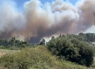 Μεγάλη φωτιά σε Σίβηρη και Φούρκα Χαλκιδικής: Ενισχύονται διαρκώς οι πυροσβεστικές δυνάμεις