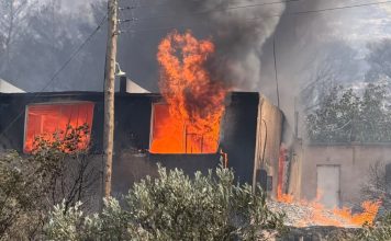Κουβαράς: Σε σπινθήρες από καλώδια του ΔΕΔΗΕΕ η πυρκαγιά